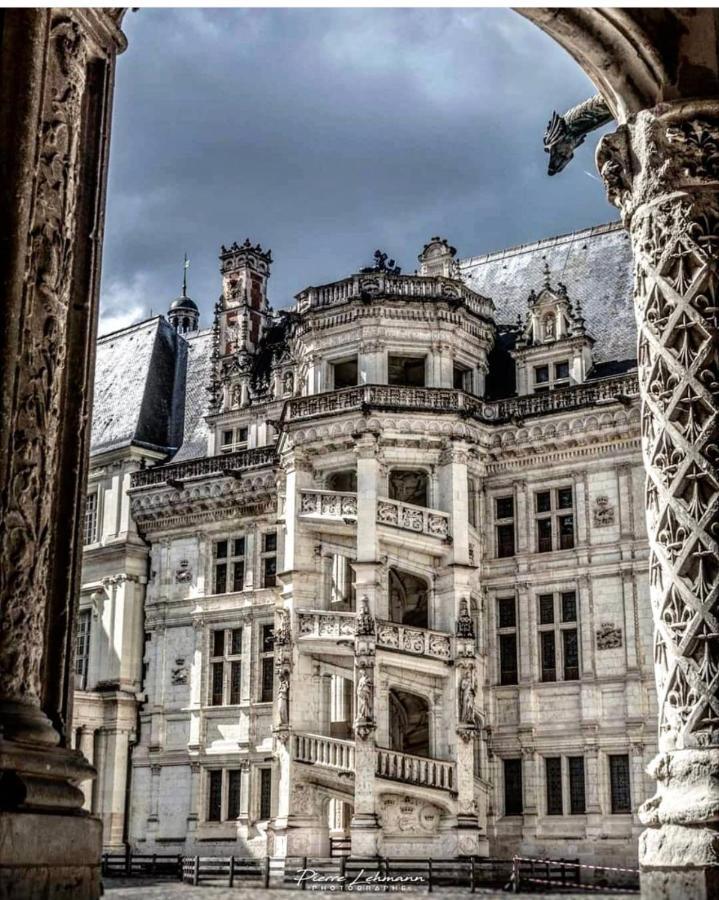 Appartement Porte Chartraine 블루아 외부 사진